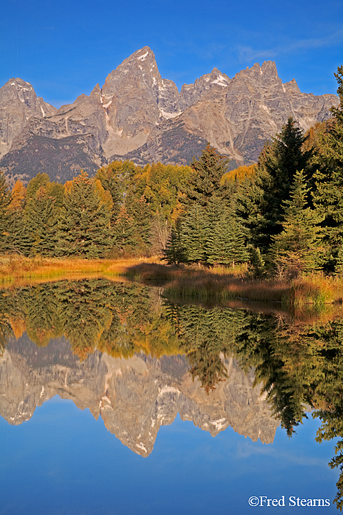 Grand Teton NP Schwabacher Landing