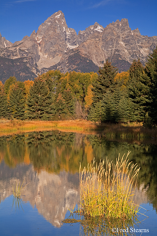 Grand Teton NP Schwabacher Landing