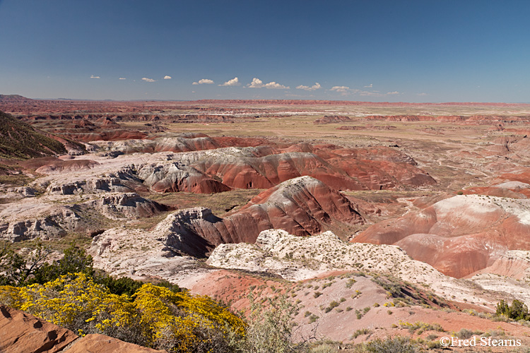 Petrified Forest National Park Painted Desert