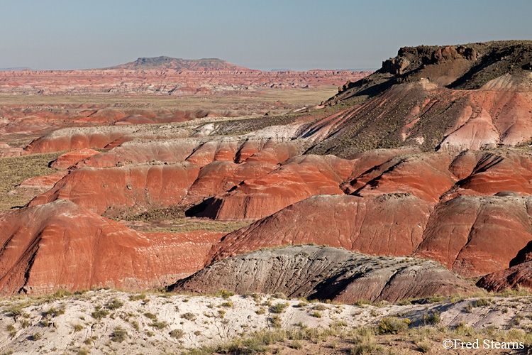 Petrified Forest National Park Painted Desert