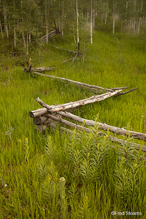 Horseshoe Creek Uncompahgre National Forest