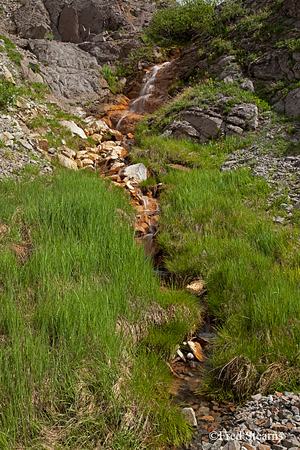 Horseshoe Creek Uncompahgre National Forest Ouray Colorado