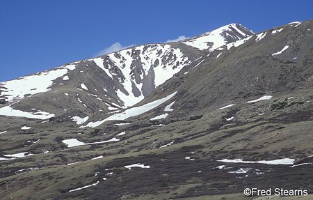 Guanella Pass