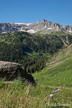 Yankee Boy Basin Uncompahgre National Forest Ouray Colorado