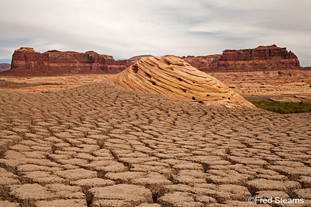 Rocky Mountain NP Bull Elk