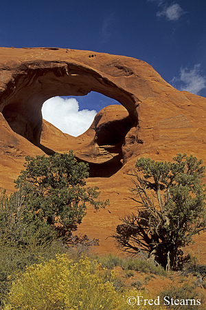 Monument Valley Spider Web Arch