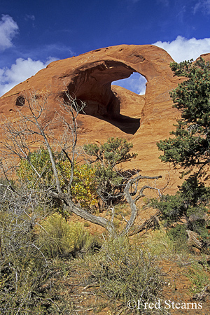 Monument Valley Spider Web Arch