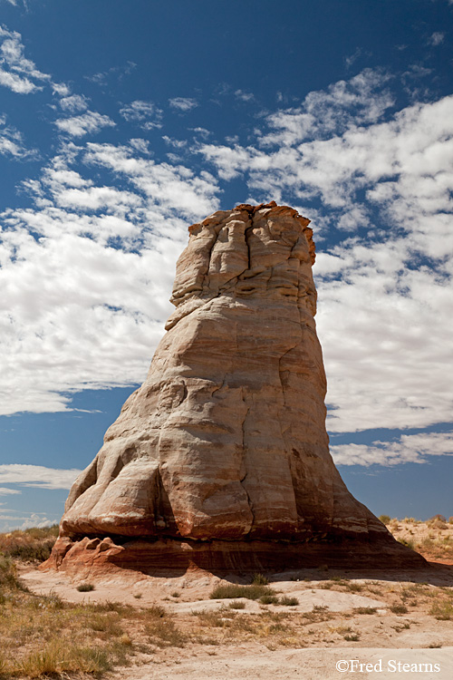 Navajo Tribal Park Elephant Feet