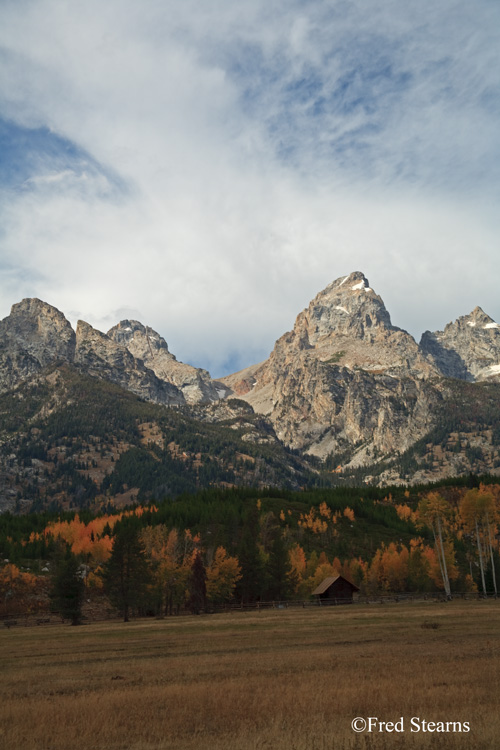 Grand Teton NP Moose Junction