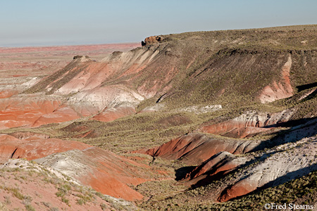 Petrified Forest National Park Painted Desert Whipple Point
