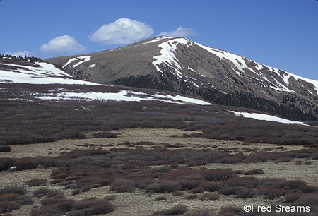 Arapaho NF Square Top Mountain