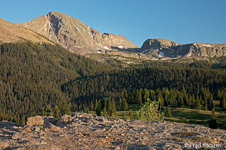 Molas Pass Uncompahgre National Forest Ouray Colorado