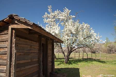 Grafton Ghost Town Louisa Marie Russell House Out Building